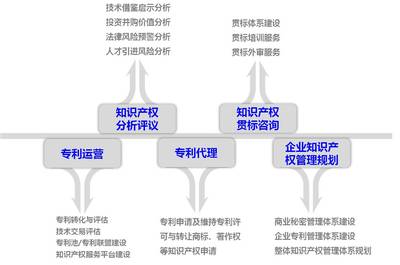 容知識產(chǎn)權(quán)——數(shù)據(jù)庫管理及咨詢服務介紹